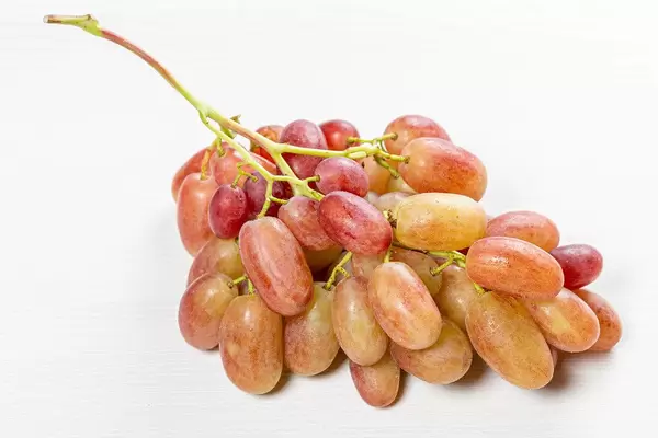 Ripe sweet grapes (Flip 2019)