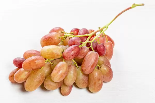 Ripe sweet grapes