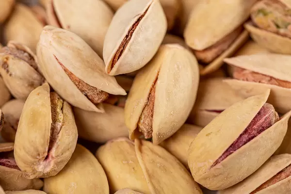 Roasted and salted pistachios with shell, background