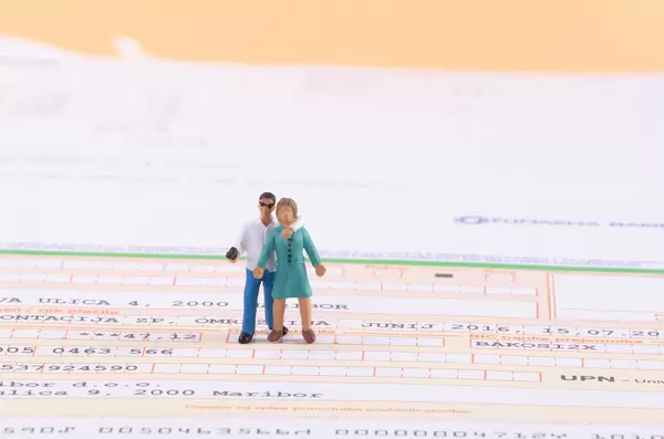 Robber on a utility bill