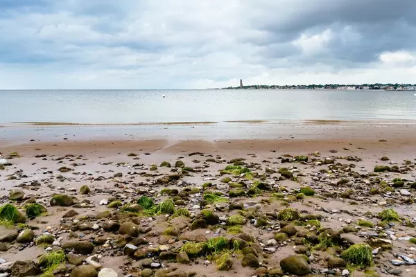 Rocks covered in seaweed on the beach with panorama of Kiel