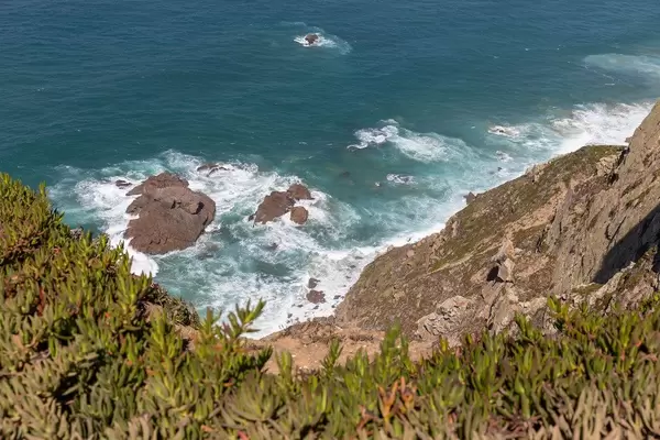 Rocks in the ocean at the coast of Cabo da Roca with Carpobrotus edulis plant in front