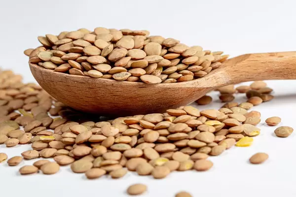 Rohe Pardina-Linsen auf einem Holzlöffel und auf einem weißem Tisch Nahaufnahme