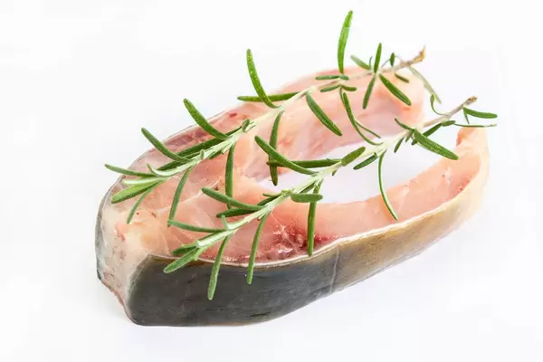 Roher Karpfen-Fisch mit Rosmarinstengel vor weißem Hintergrund