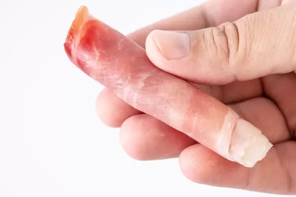 Rolled Pork Ham meat in the hand above white background (Flip 2019)