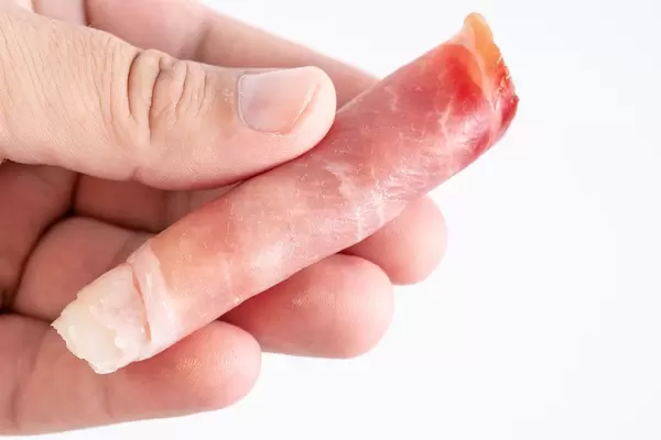 Rolled Pork Ham meat in the hand above white background