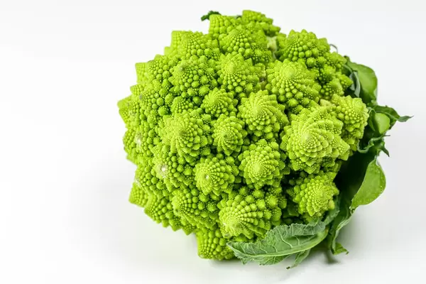 Romanesco broccoli cabbage (or Roman Cauliflower) on white background (Flip 2020)