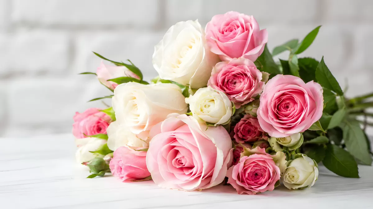 Romantischer Strauß mit rosa und weißen Rosen
