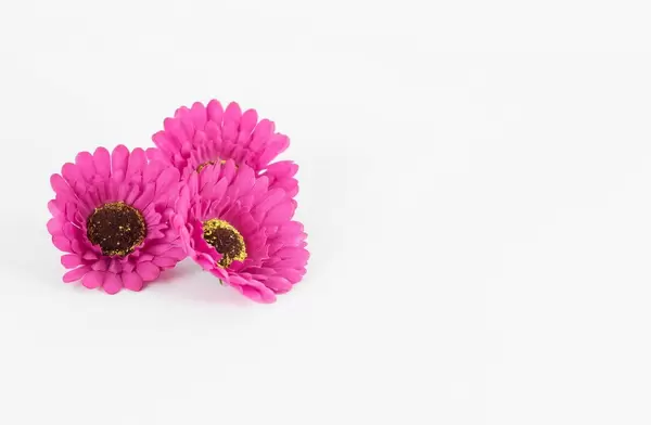 Rosafarbene Blumen vor weißem Hintergrund