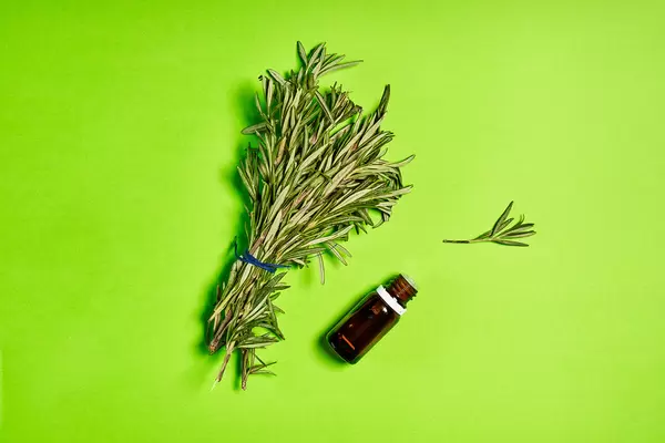 Rosemary essential oil in small glass bottle and branches of plant fresh rosemary