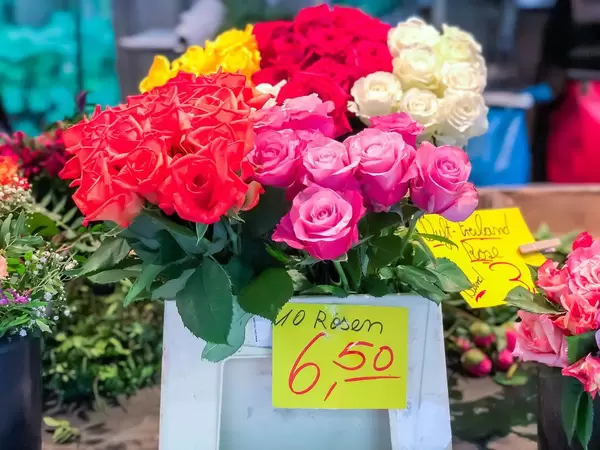 Rosen verschiedener Farben werden a 10 Stück verkauft