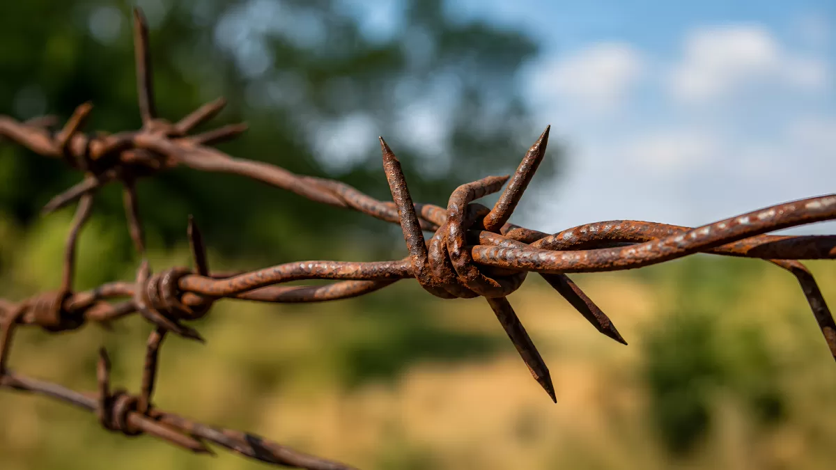 Rostiger Stacheldraht in Nahaufnahme vor grüner Landschaft