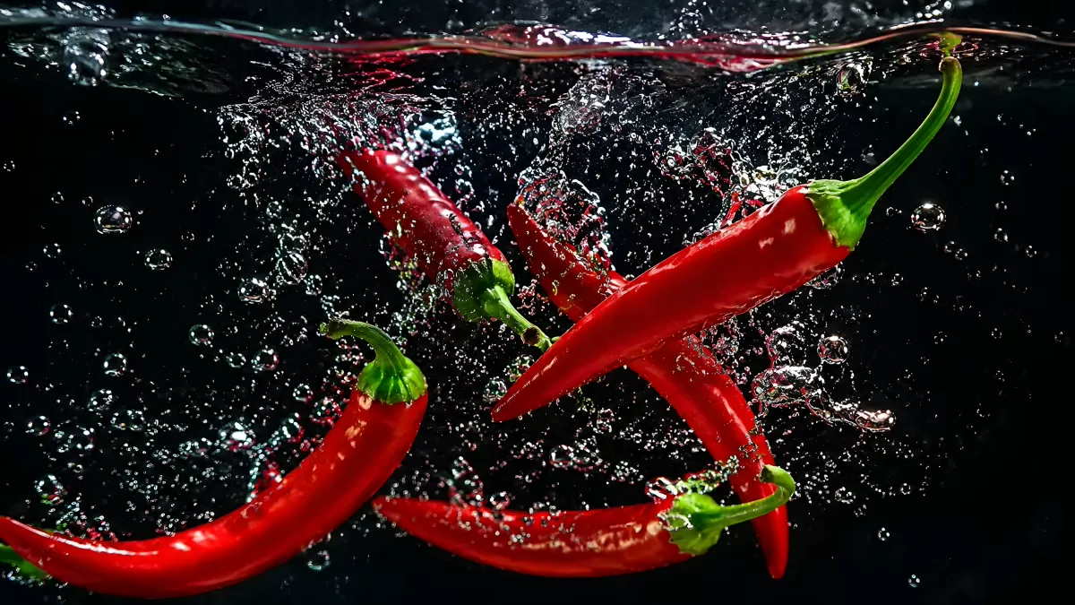 Rote Chilischoten tauchen in spritziges Wasser