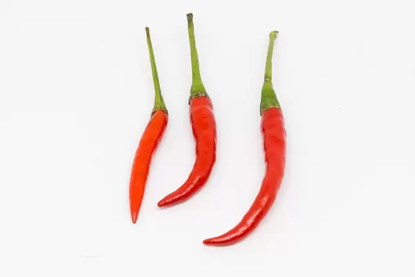 Rote Chilischoten