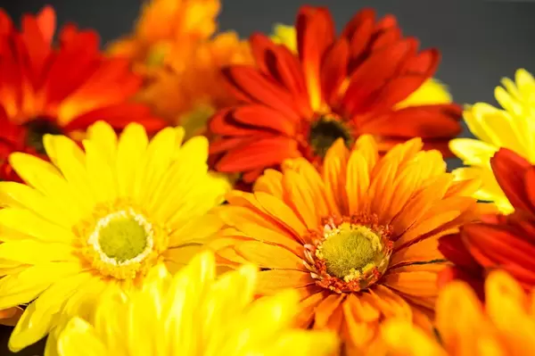 Rote, gelbe und Orange Kunstblumen in der Nahaufnahme
