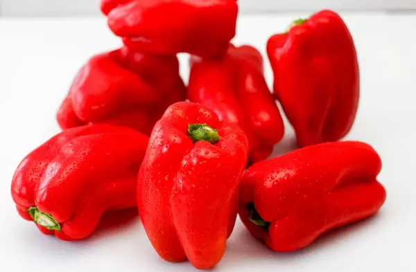 Rote Paprika vor weißem Hintergrund