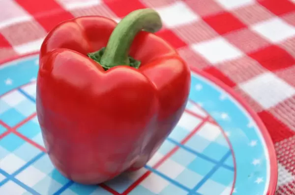 Rote Paprikaschote mit unscharfem Hintergrund