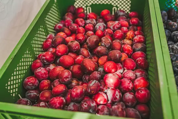 Rote Pflaumen auf dem Marktplatz