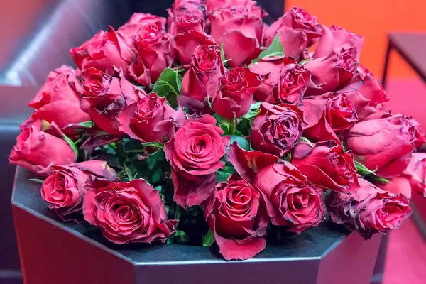 Rote Rosen unter blauem Licht