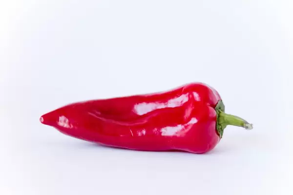 Rote Spitzpaprika / Red Pepper