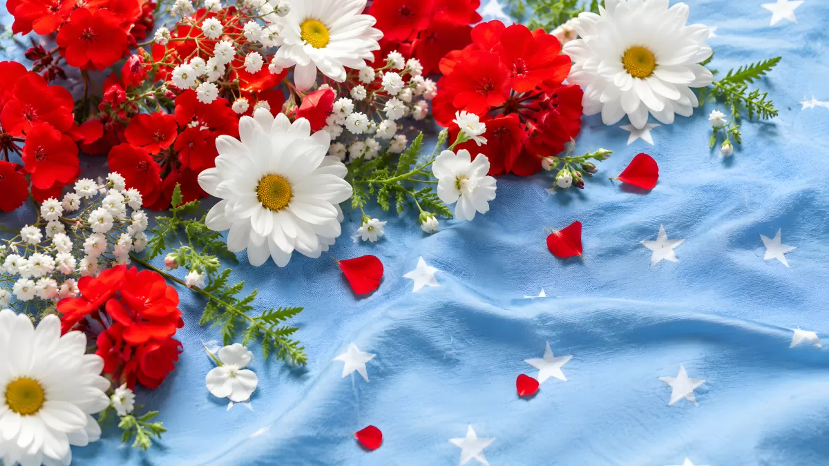 Rote und weiße Blumen auf blauem Sternenstoff