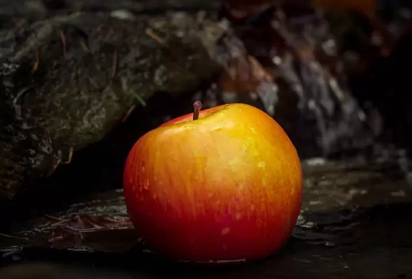 Roter Apfel treibt im Wasser