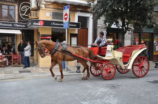 Roter Fiaker auf Mallorca