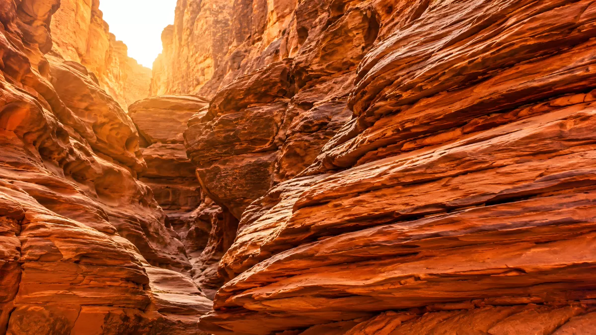 Roter Sandstein-Canyon mit warmem Sonnenlicht