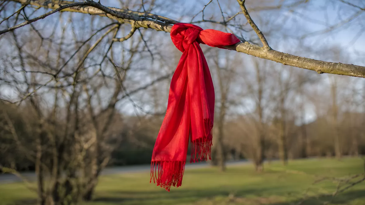 Roter Schal an kahlem Ast im Winterpark