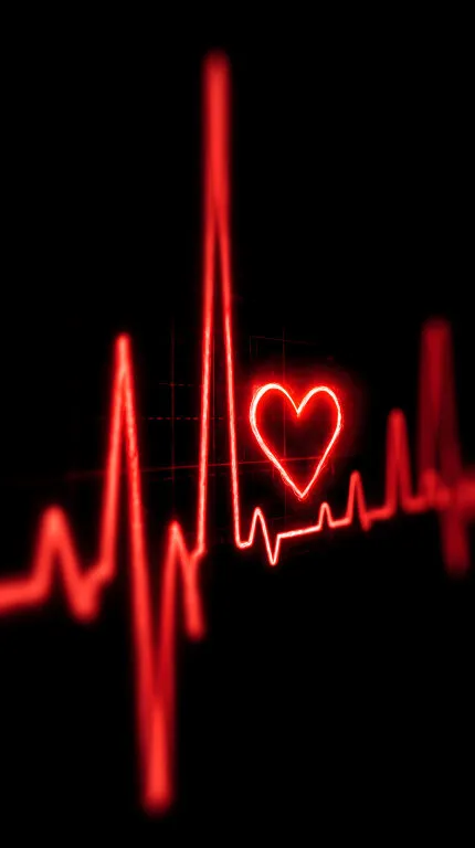 Rotes Herzschlag-Diagramm vor schwarzem Hintergrund