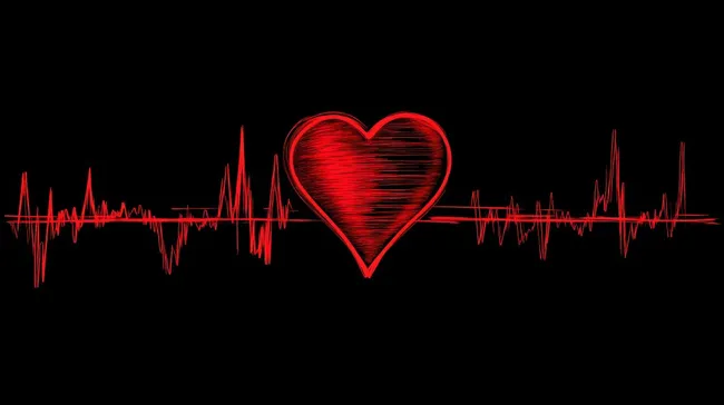 Rotes Herzschlagdiagramm auf schwarzem Hintergrund