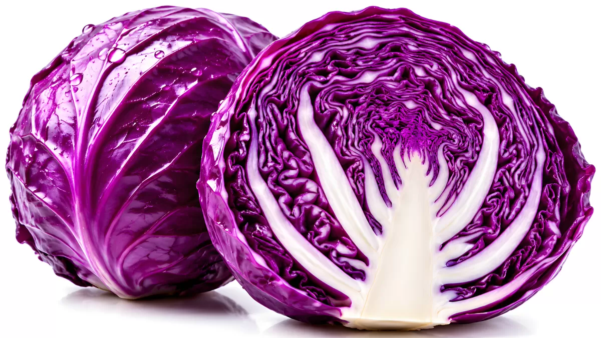 Rotkohl halbiert mit frischem Querschnitt auf Weiß