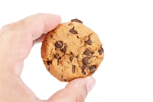 Round Chocolate Biscuit in the hand