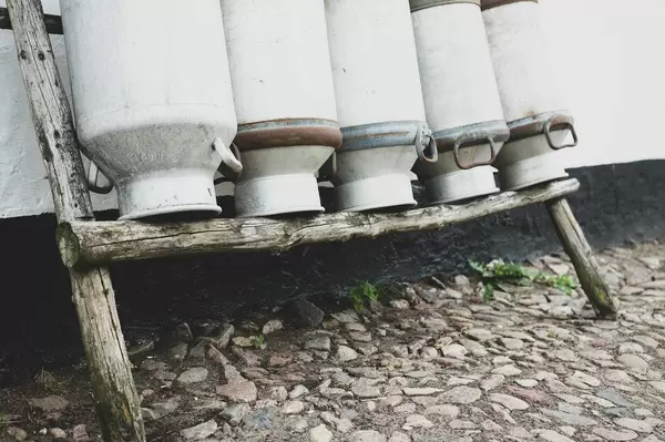 Row of old milk cans