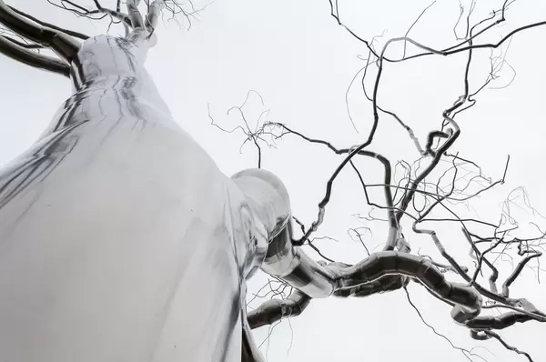 Roxy Paine Graft