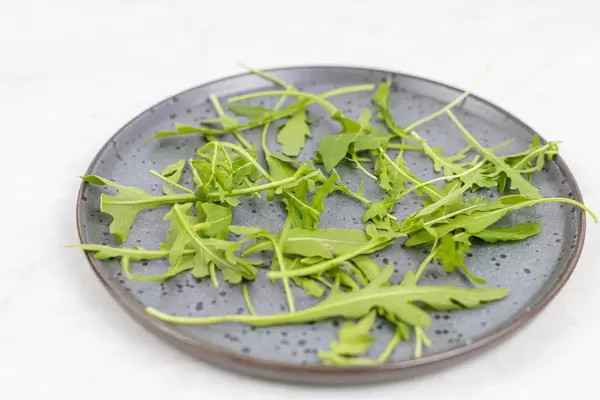 Rucola salad on the plate with white background