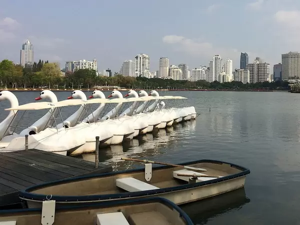 Ruderboote und Schwan-Boote zum Mieten