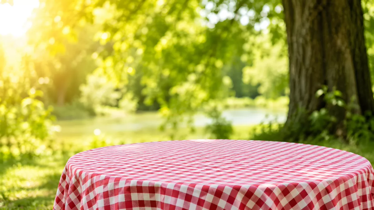 Runder Tisch mit rotem Karomuster im Sommerpark