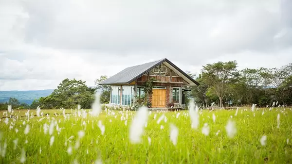 Rundum verglastes Holzhaus auf blühender Wiese