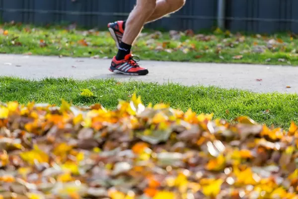 Running in the park with autumn foliage in the foreground