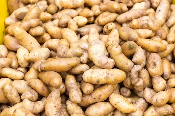 Russian banana fingerling - City Market, Chicago