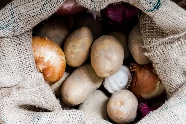 Sack with vegetables, top view