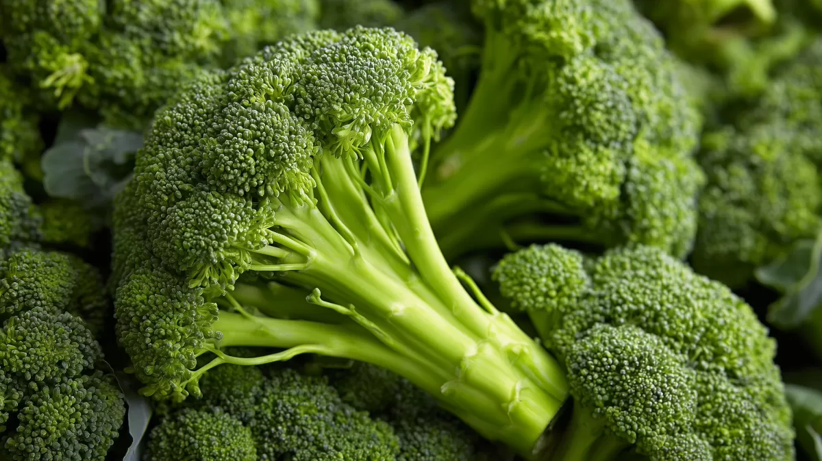 Saftig-grüner Brokkoli - ein nahrhaftes Gemüse-Juwel