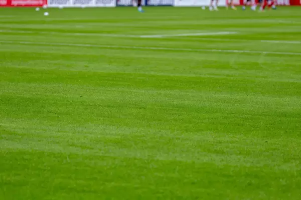 Saftig-grüner Rasen im Fußballstadion