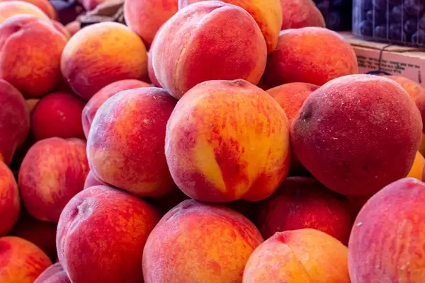 Saftig-reife orange-rote Pfirsiche gestapelt in Verkaufsauslage eines Früchteverkäufers