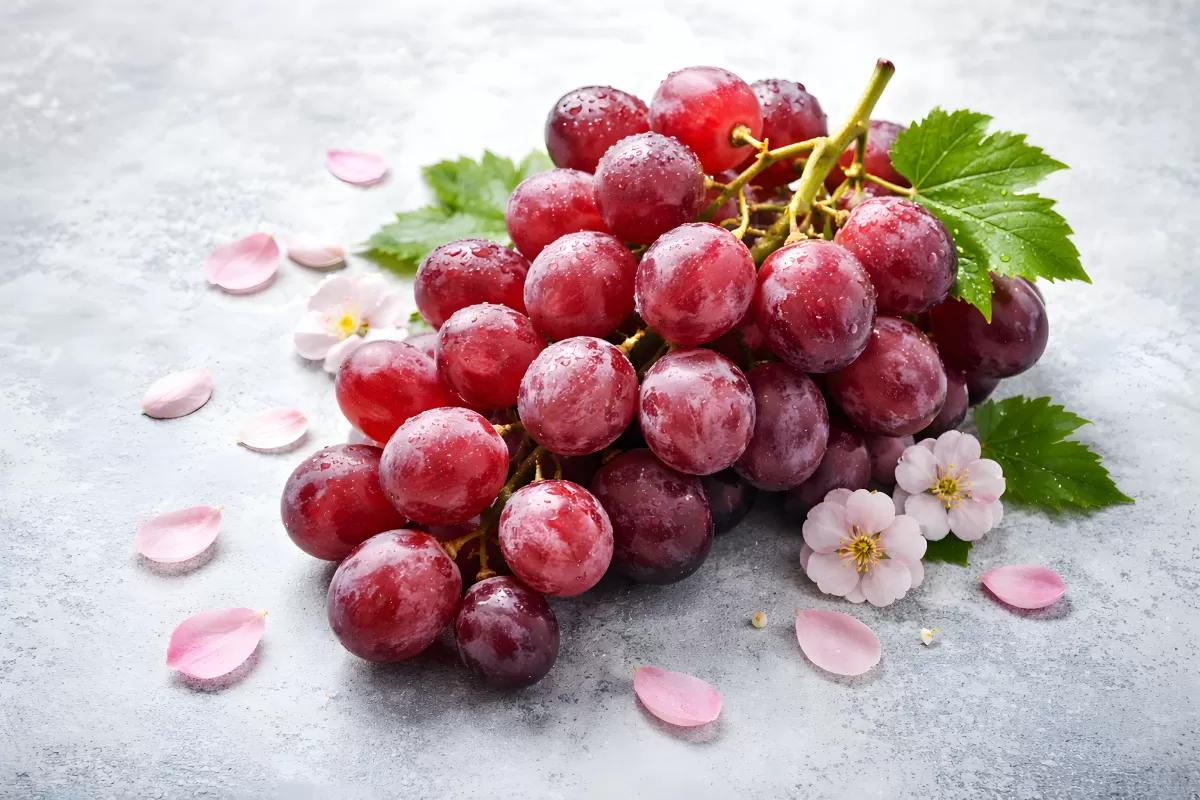 Saftige rote Weintrauben mit Blüten auf Stein