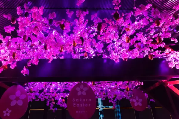 Sakura Easter, Tokyo