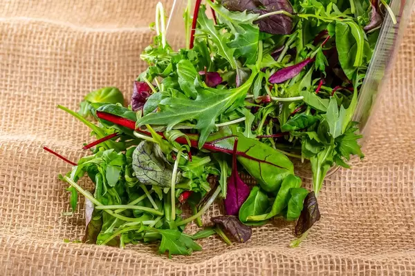 Salad mix and arugula on a background of burlap