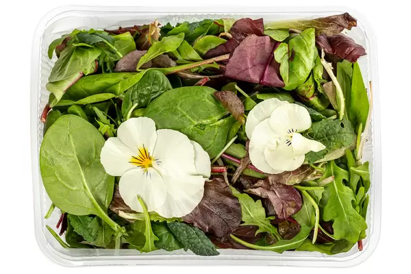 Salad mix arugula, lettuce, flowers and spinach, top view