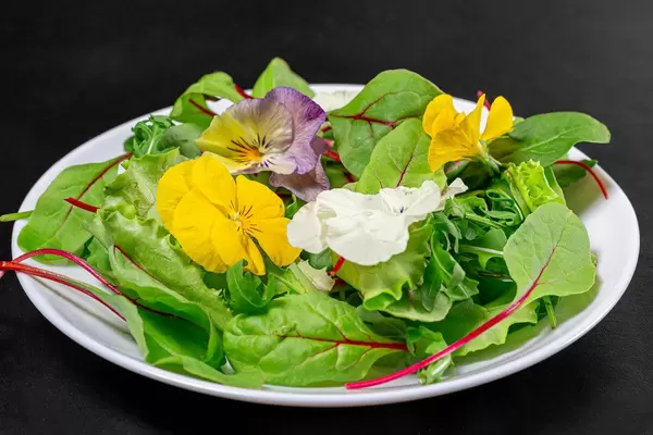Salatplatte mit Blättern und Blumen auf weißem Teller